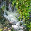 Go with the flow
