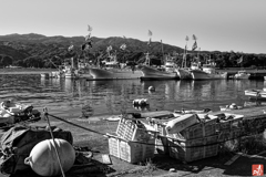 空っ風に靡く大漁旗群