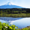 初夏の田園風景
