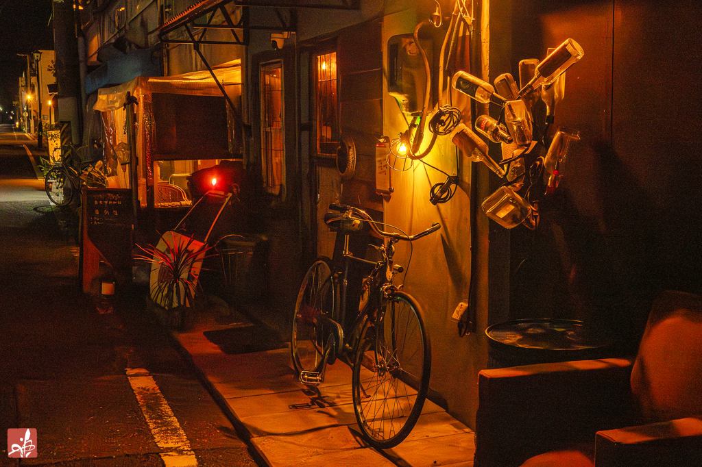 忘れられたチャリンコ