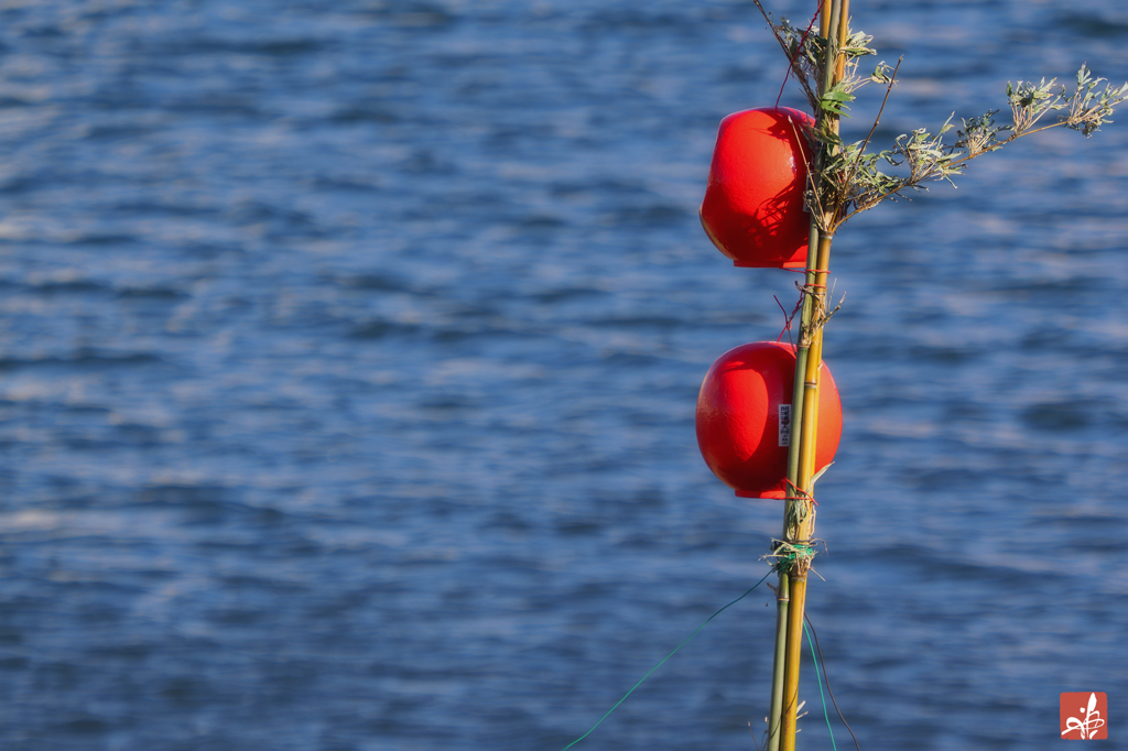 どんど焼きの朝