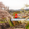ローカル線桜旅