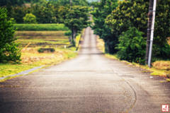 人生は永く続く登道の如し