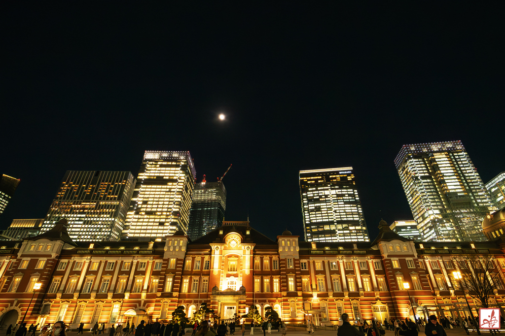 東京駅丸ノ内本屋～夜顔～