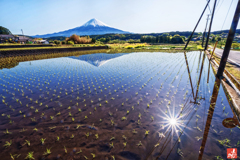 キラキラな初夏に包まれて