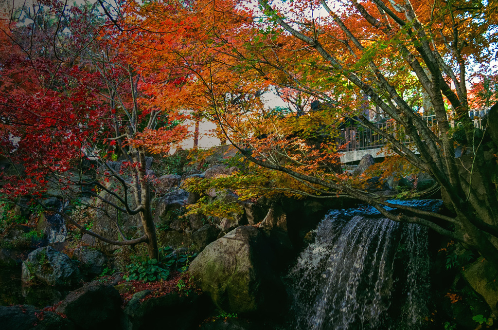 もみじ山公園