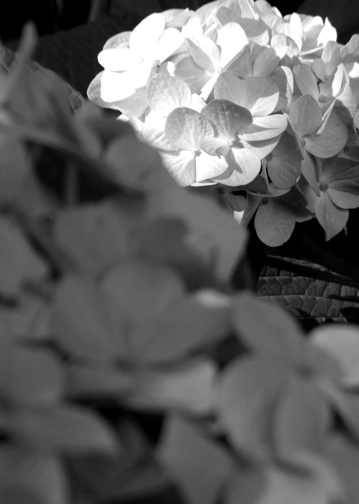 RIMG0017_2Edit