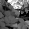 RIMG0017_2Edit