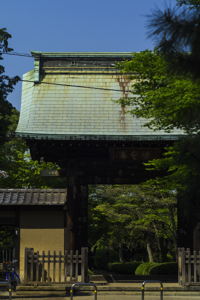 豪徳寺001