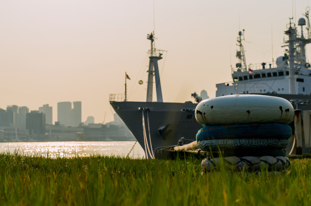 Tokyo Bay 002