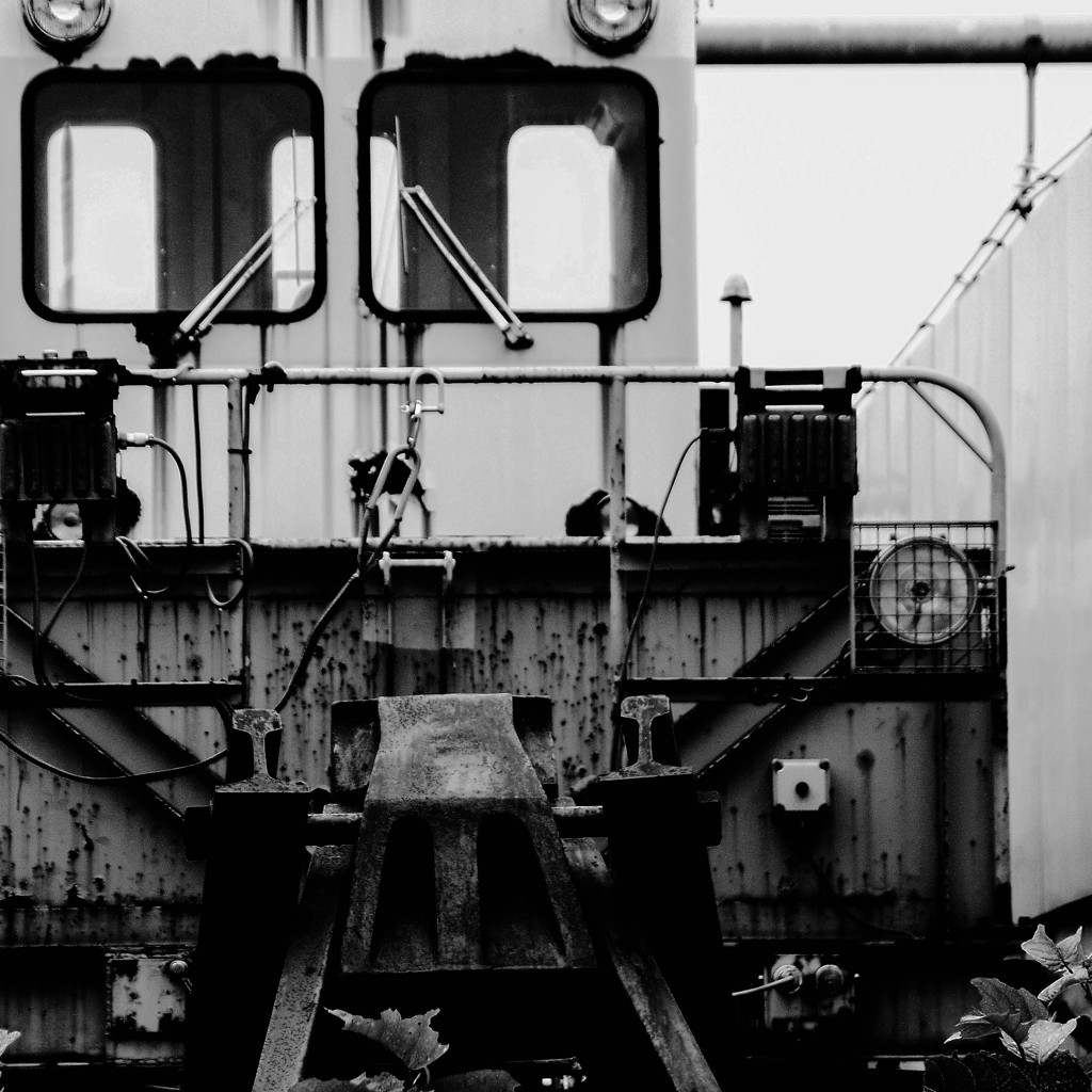 iron