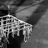 RIMG0087_2Edit