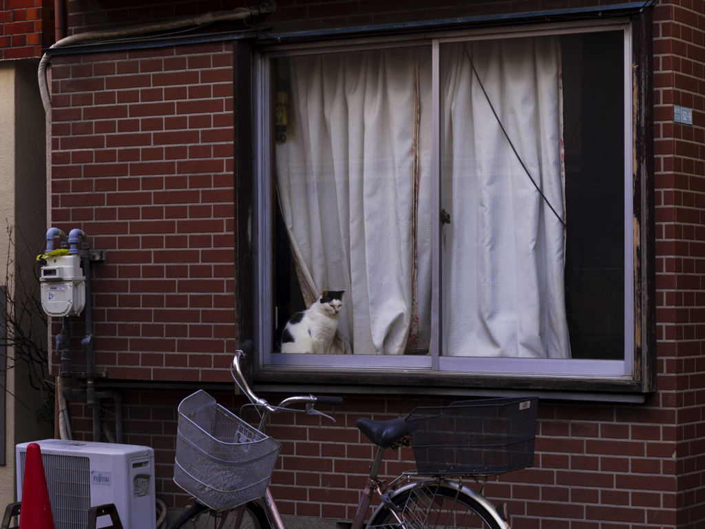下町004