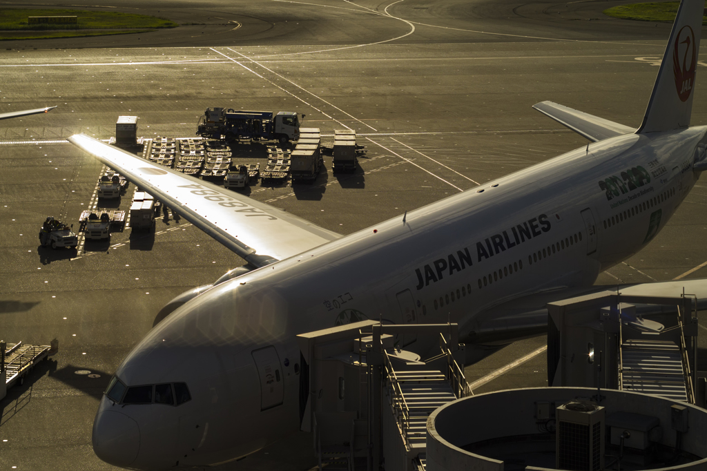 羽田空港018