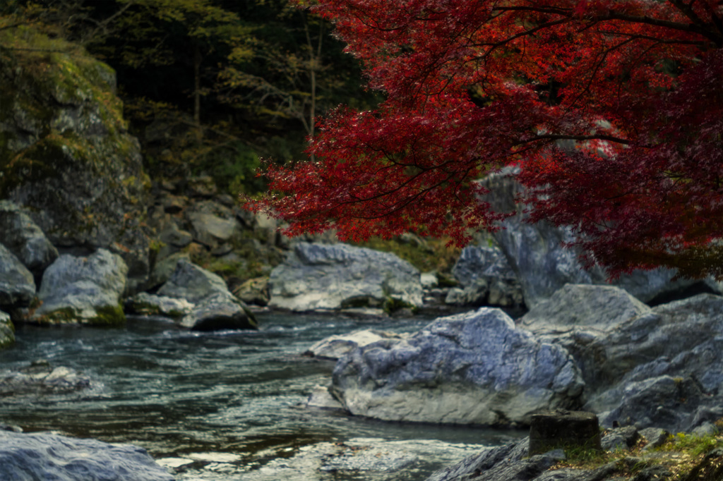 紅葉