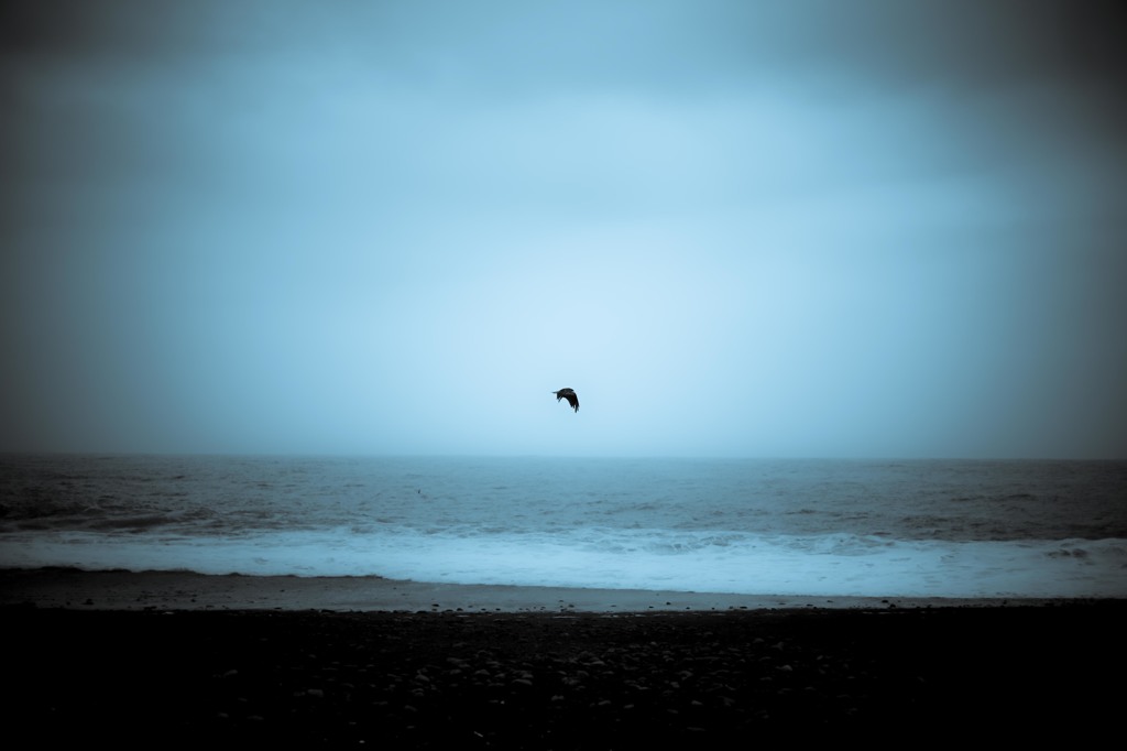 alone