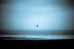 alone