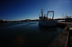 metallic deep blue color