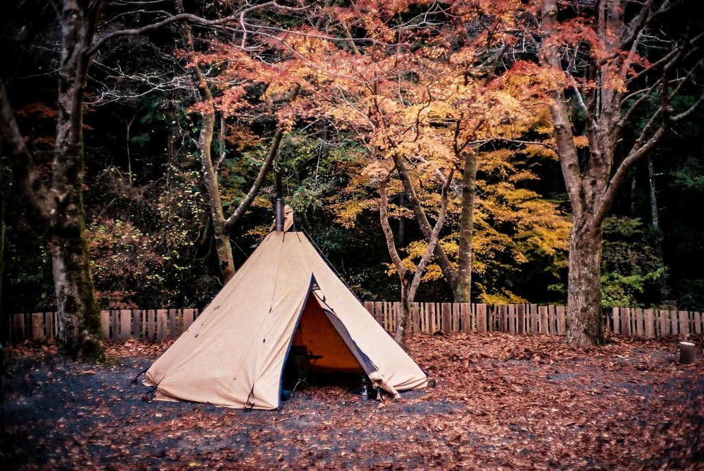 秋キャンプ