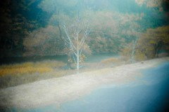 キャンプの朝 キャンプの朝