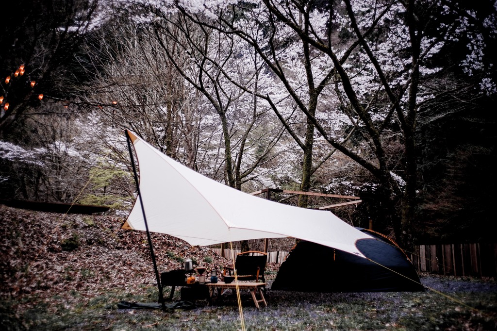 sakura camp