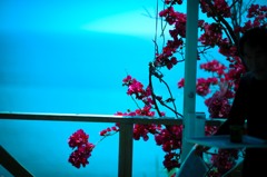 海を臨むカフェにて