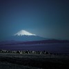 テトラ富士