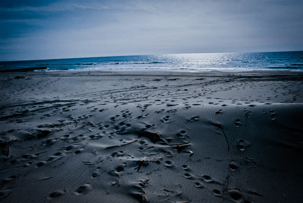 Winter　Beach