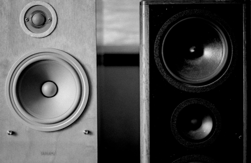 SPEAKER