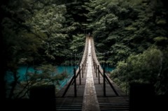 夢の吊り橋