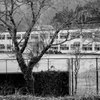 里山小学校