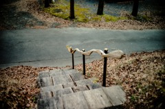 Step