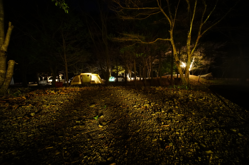 Night Scene