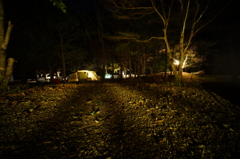 Night Scene