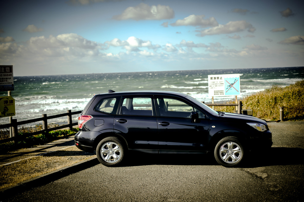 新しい相棒はJapanese