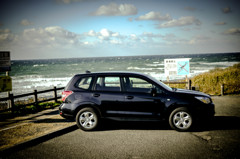 新しい相棒はJapanese