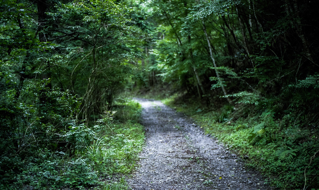 山道