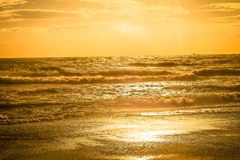 Golden Wave Golden Wave