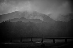 雨の朝２
