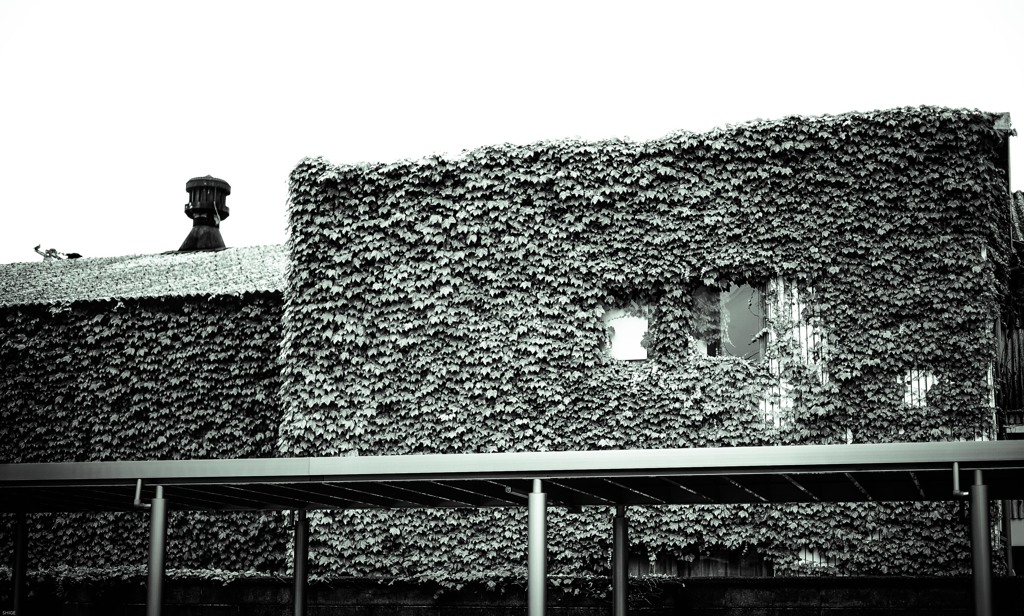 Green Wall