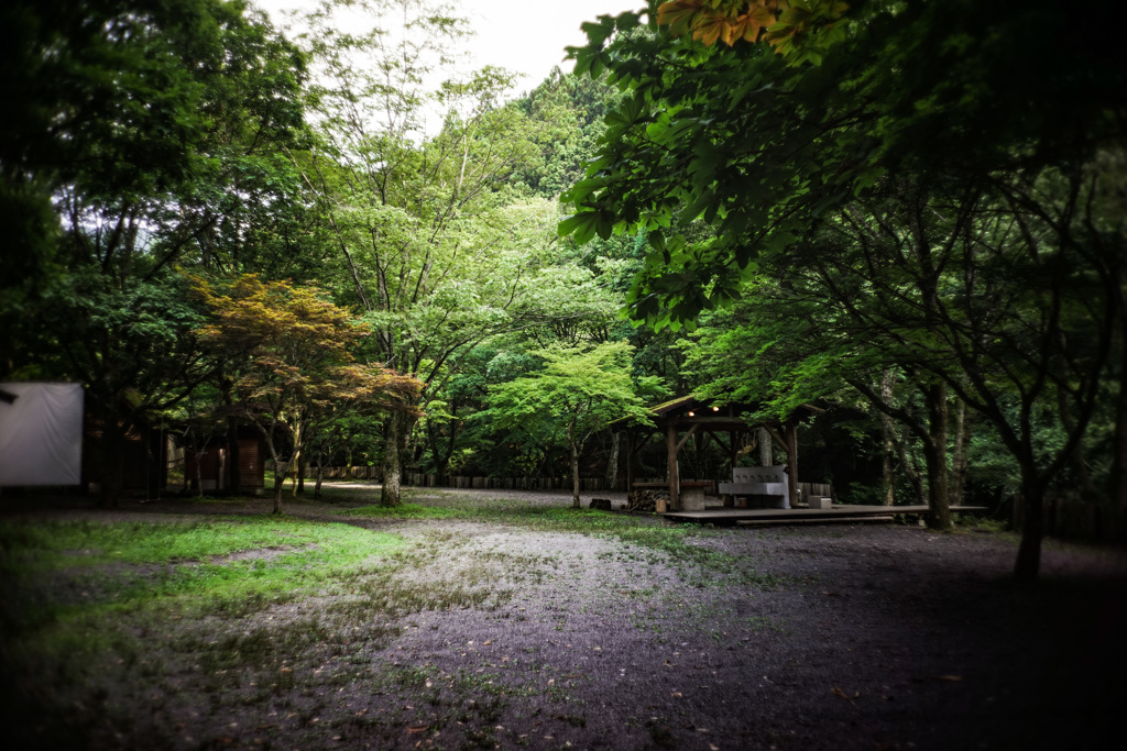 キャンプ場　夏