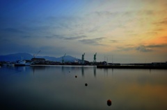 Morning Orange 2