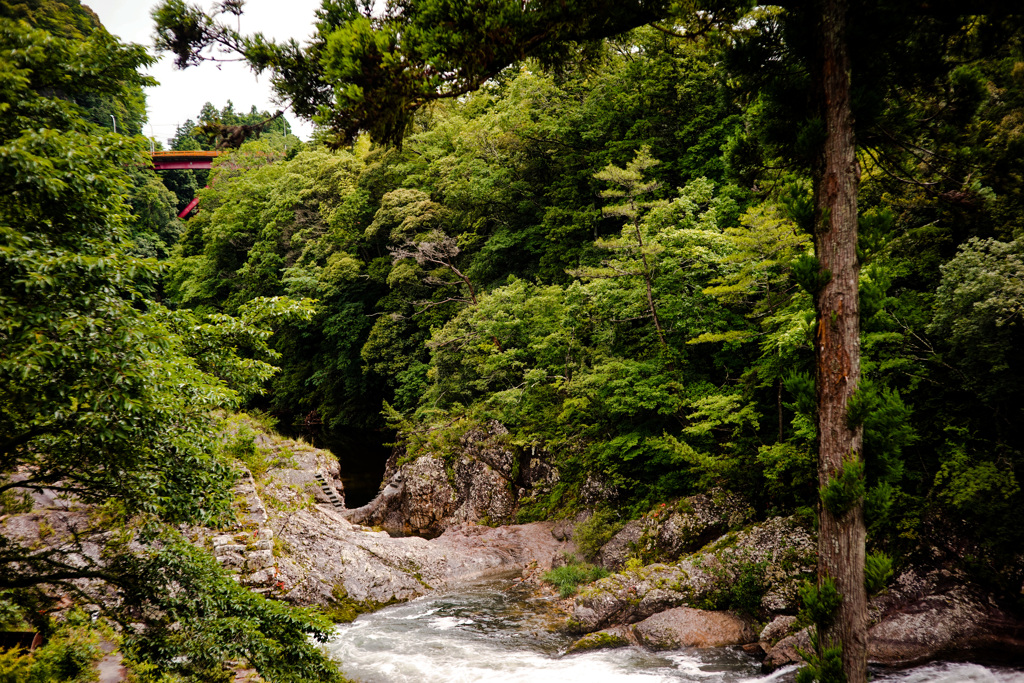 Green River