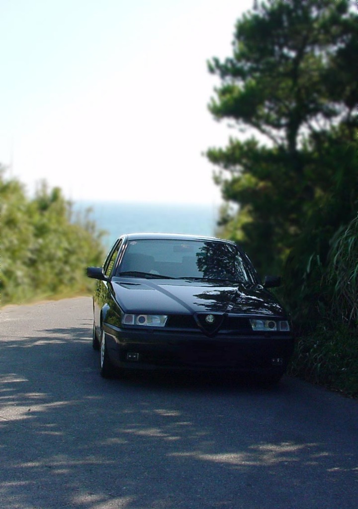 Alfa155　NAVY