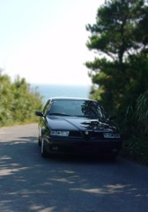Alfa155　NAVY