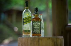 FOREST BAR FOREST BAR