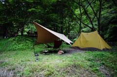 today's site