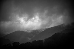 雨の朝