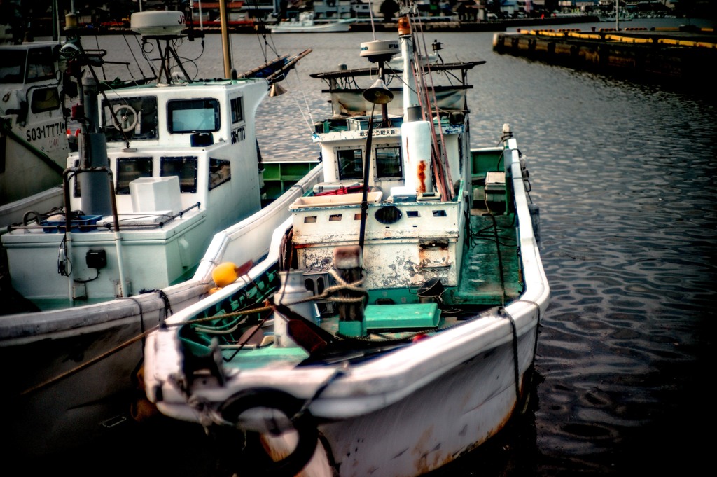 いつもの船　いつもの光景