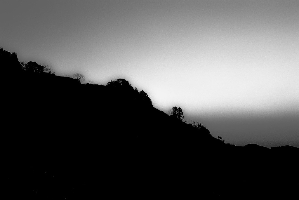 LIGHT & SHADOW